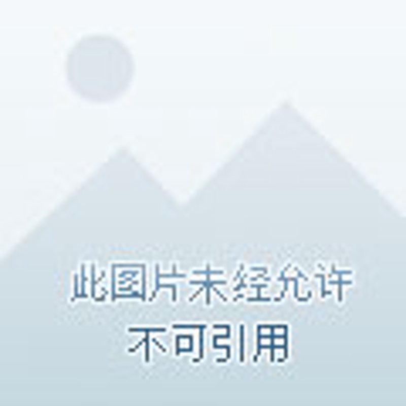 手机配件：为您的科技生活添彩